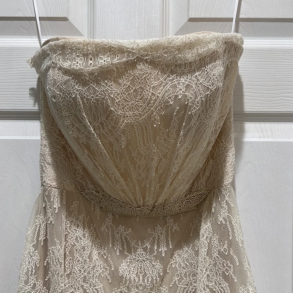 Custome 1 of 1 dress - Picture 2 of 4